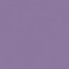 VIOLET ROUGEATRE TEINTE D