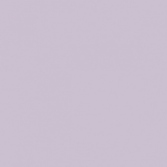 VIOLET ROUGEATRE TEINTE O