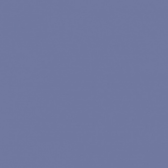 VIOLET BLEUATRE TEINTE B