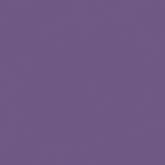 VIOLET FONCE TEINTE H
