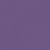 VIOLET FONCE TEINTE H