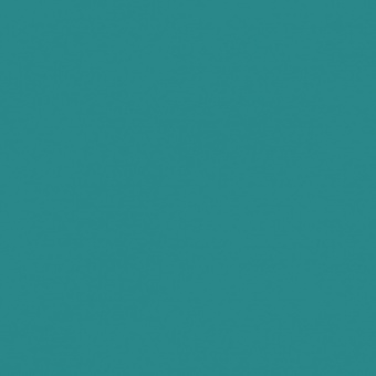 VERT BLEUATRE TEINTE D