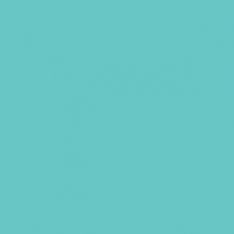 VERT BLEUATRE TEINTE M