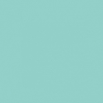 VERT BLEUATRE TEINTE O