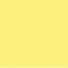 JAUNE SOLIDE 2 CLAIR TEINTE M