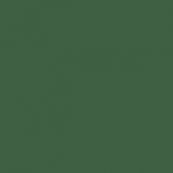 FEUILLAGE VERT FONCE TEINTE B