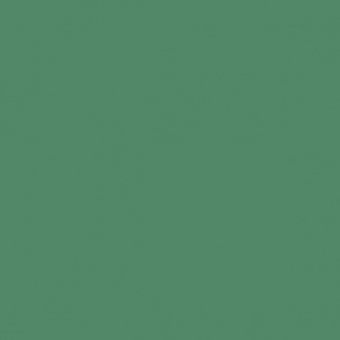 FEUILLAGE VERT FONCE TEINTE H