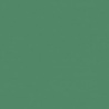 FEUILLAGE VERT FONCE TEINTE H