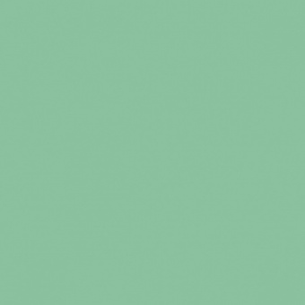 FEUILLAGE VERT FONCE TEINTE O