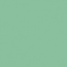 FEUILLAGE VERT FONCE TEINTE O