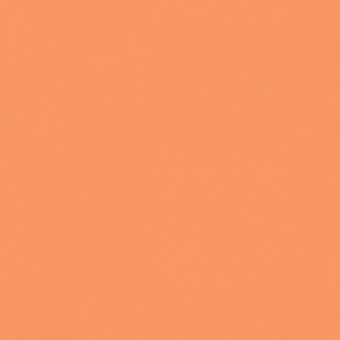 ORANGE FONCE TEINTE M