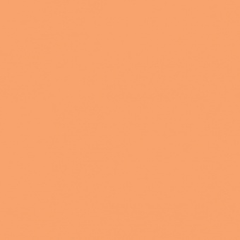 ORANGE FONCE TEINTE O