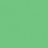 FEUILLAGE VERT 1 TEINTE H