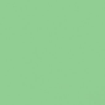 FEUILLAGE VERT 1 TEINTE M