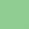 FEUILLAGE VERT 1 TEINTE M