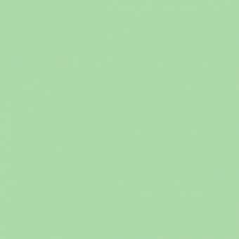 FEUILLAGE VERT 1 TEINTE O