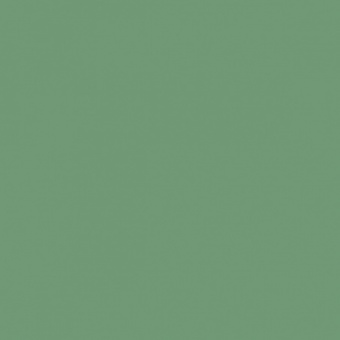 FEUILLAGE VERT 2 TEINTE H