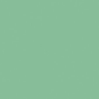 FEUILLAGE VERT 2 TEINTE M