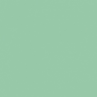 FEUILLAGE VERT 2 TEINTE O