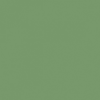 VERT MOUSSE 1 TEINTE B