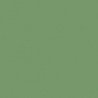 VERT MOUSSE 1 TEINTE B