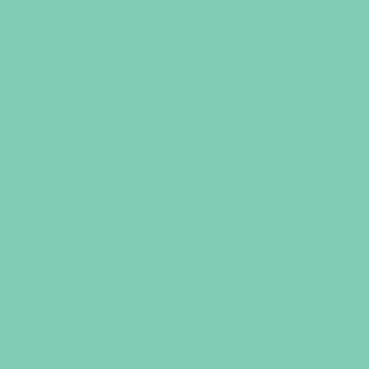 PERLE VERTE TEINTE H