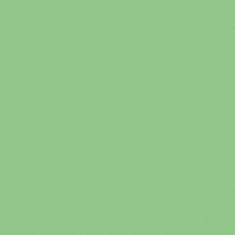 VERT MOUSSE 1 TEINTE D