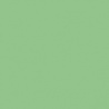 VERT MOUSSE 1 TEINTE D