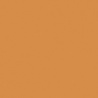 ORANGE CLAIR TEINTE B