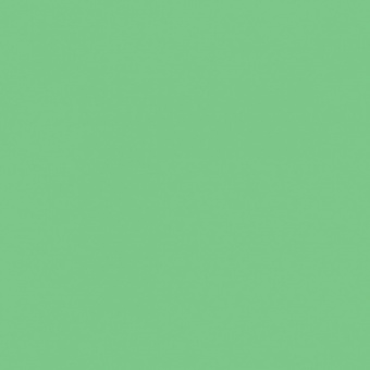 VERT MOUSSE 1 TEINTE H