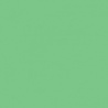 VERT MOUSSE 1 TEINTE H