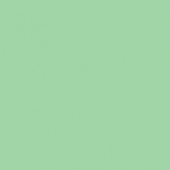 VERT MOUSSE 1 TEINTE M