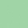 VERT MOUSSE 1 TEINTE M