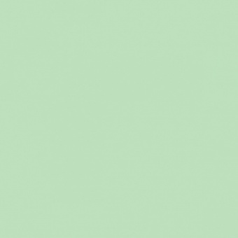 VERT MOUSSE 1 TEINTE O