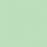 VERT MOUSSE 1 TEINTE O