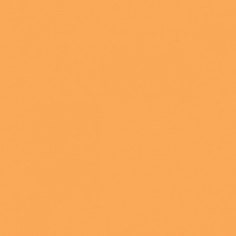ORANGE CLAIR TEINTE M