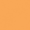 ORANGE CLAIR TEINTE M