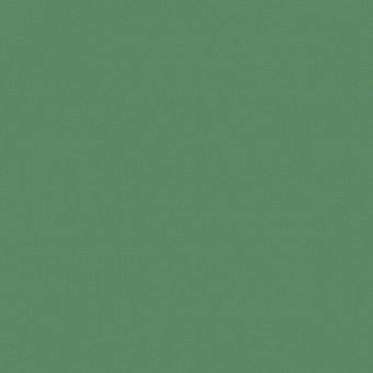VERT MOUSSE 2 TEINTE B