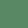 VERT MOUSSE 2 TEINTE B