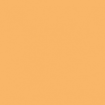 ORANGE CLAIR TEINTE O