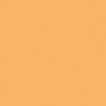 ORANGE CLAIR TEINTE O