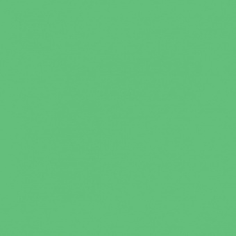 VERT MOUSSE 2 TEINTE D