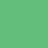 VERT MOUSSE 2 TEINTE D