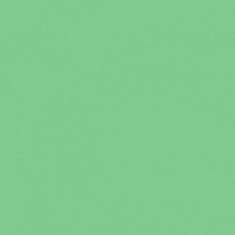 VERT MOUSSE 2 TEINTE H