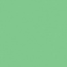 VERT MOUSSE 2 TEINTE H