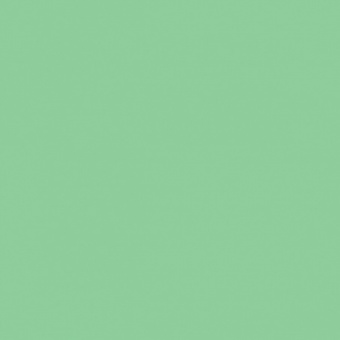 VERT MOUSSE 2 TEINTE M