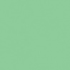 VERT MOUSSE 2 TEINTE M