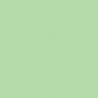 VERT MOUSSE 2 TEINTE O