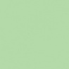 VERT MOUSSE 2 TEINTE O