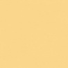 OCRE JAUNE TEINTE M